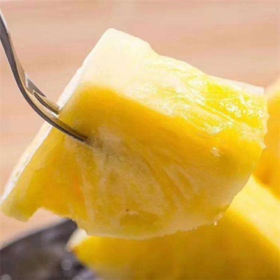 海南金钻凤梨新鲜水果手撕牛奶凤梨蜜甜口感汁水充足现摘现发包甜