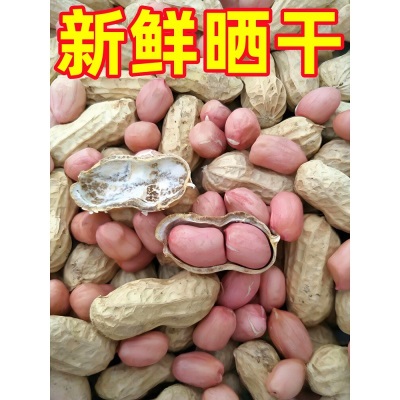 2026今年新货白沙农家生花生米生的粉红皮新鲜下酒菜不带壳生花生