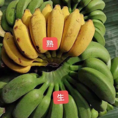 正宗广西小米蕉9斤香蕉新鲜水果整箱小香蕉自然熟苹果粉蕉包邮