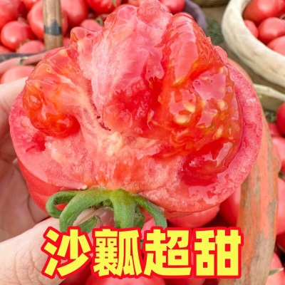 普罗旺斯沙瓤西红柿5斤当季新鲜水果老品种可生吃番茄露天自然熟