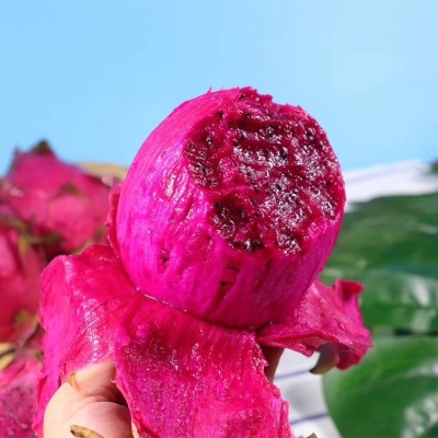 多批发一件整箱红肉蜜宝批发水果新鲜规格一号跨境金都火龙果电商