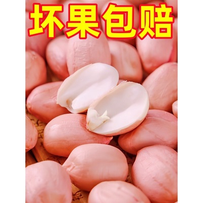 2026今年新货白沙农家生花生米生的粉红皮新鲜下酒菜不带壳生花生