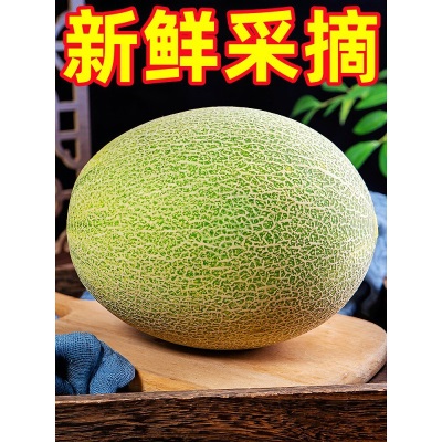 海南哈密瓜新鲜脆甜9斤水果疆西州蜜瓜25号老汉瓜一整箱网纹甜瓜