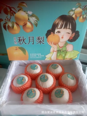 批发莱阳秋月梨新鲜 水果5斤脆甜多汁当季采摘整箱冰糖山东秋月梨