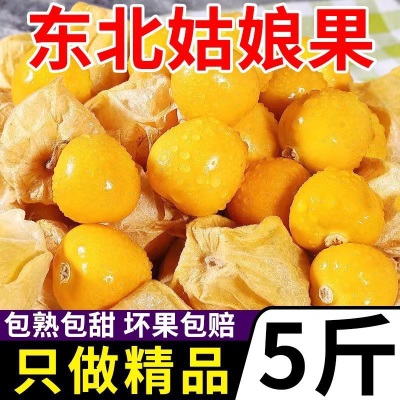 包邮灯笼果东北菇娘孕妇姑娘果新鲜红整箱黄3菇娘甜洋斤5当季水果