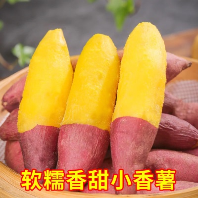 临安天目山小香薯正宗板栗红薯新鲜农家自种小番薯地瓜蜜薯旗舰店