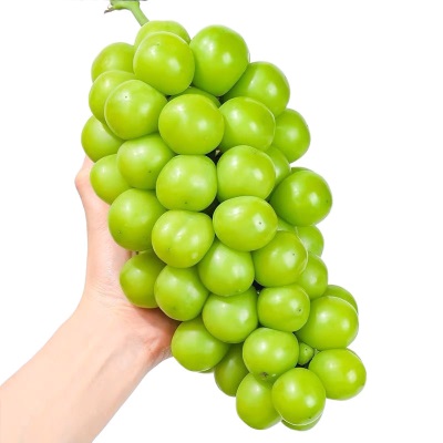 阳光玫瑰葡萄新鲜水果晴王提子青提大果整串国产整箱批发