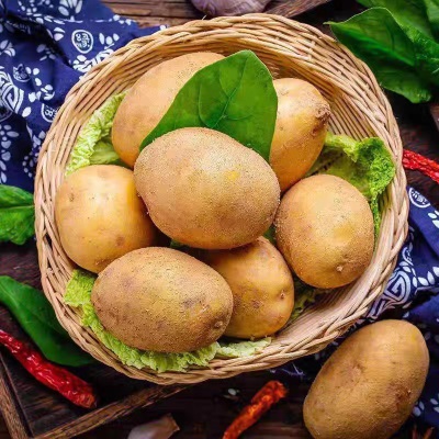 土豆低价包邮批发5斤挖白皮优质蔬菜马铃薯白心农家自种现挖新鲜