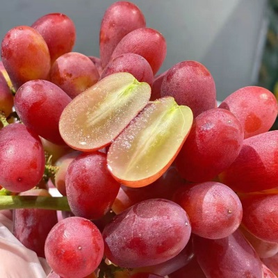 无籽红提克伦生提子葡萄5斤净重新鲜水果整串紫提子孕妇小孩水果