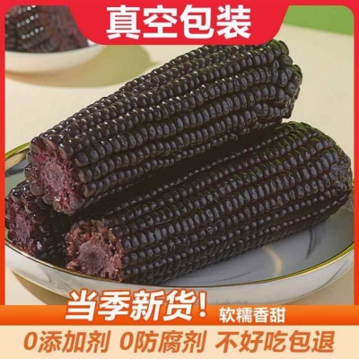 【10根整箱】东北黑糯玉米独立真空装黏甜糯玉米紫玉米减健身代餐