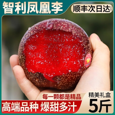 广州江南批发直发【顺丰】智利进口血丝李凤凰李红肉李子香甜可口