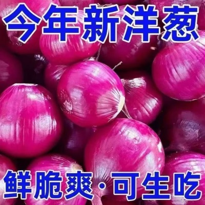 云南紫皮洋葱新鲜脆甜水果洋葱圆葱蔬菜红皮特产农家现挖农家自种