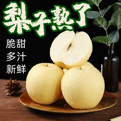 整箱皇冠梨河北斤斤代发雪梨当季砀山梨3梨子10新鲜水果酥梨非5斤