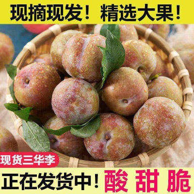 新鲜广东正宗三华李应当季新鲜酸甜脆特大果李子孕妇水果整箱包邮