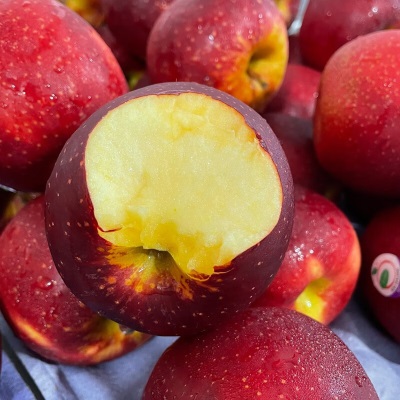 广州江南批发直发【顺丰】新西兰太平洋红玫瑰苹果NZQUEEN4122脆