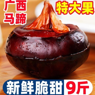 广西大马蹄荸荠新鲜即食当季水果蔬菜珍珠马蹄果现挖脆甜整箱包邮