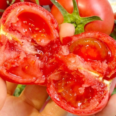 普罗旺斯沙瓤西红柿5斤当季新鲜水果老品种可生吃番茄露天自然熟