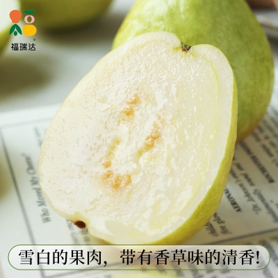 广西番石榴白心芭乐冰淇淋口感当季新鲜水果应季软糯脆甜整箱包