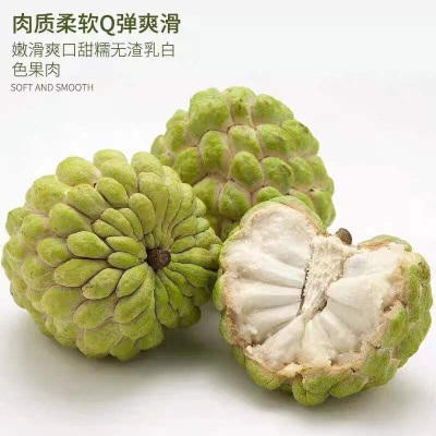 广州江南批发直发【】台湾释迦果进口番荔枝10斤鲜果水果特级