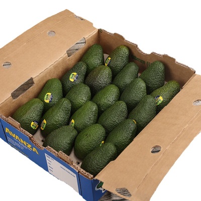 广州江南批发直发【顺丰】巨无霸牛油果新鲜当季水果超大特级