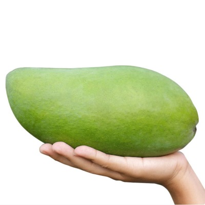 越南品种大青芒果新鲜当季现摘特大整箱青皮水果芒果仓库直发