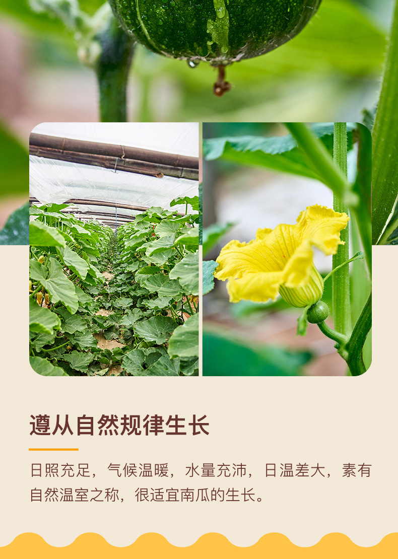 O1CN01jjZPDn1ehA7mslZu2_!!2210