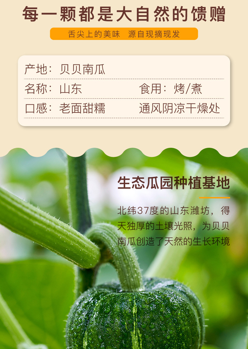 O1CN01t4cmQ41ehA7hHP6py_!!2210