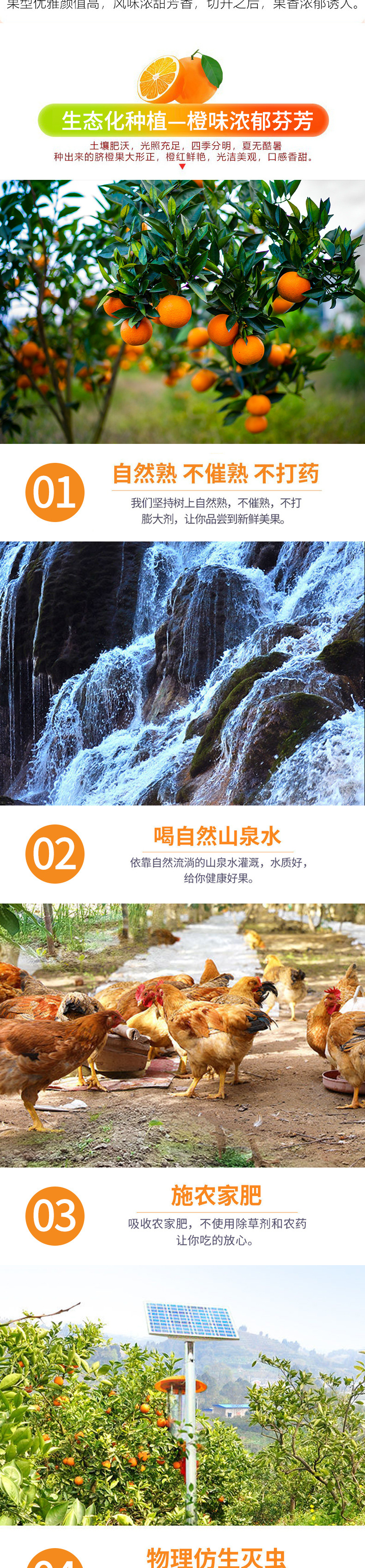 灯笼盒脐橙详情页_05