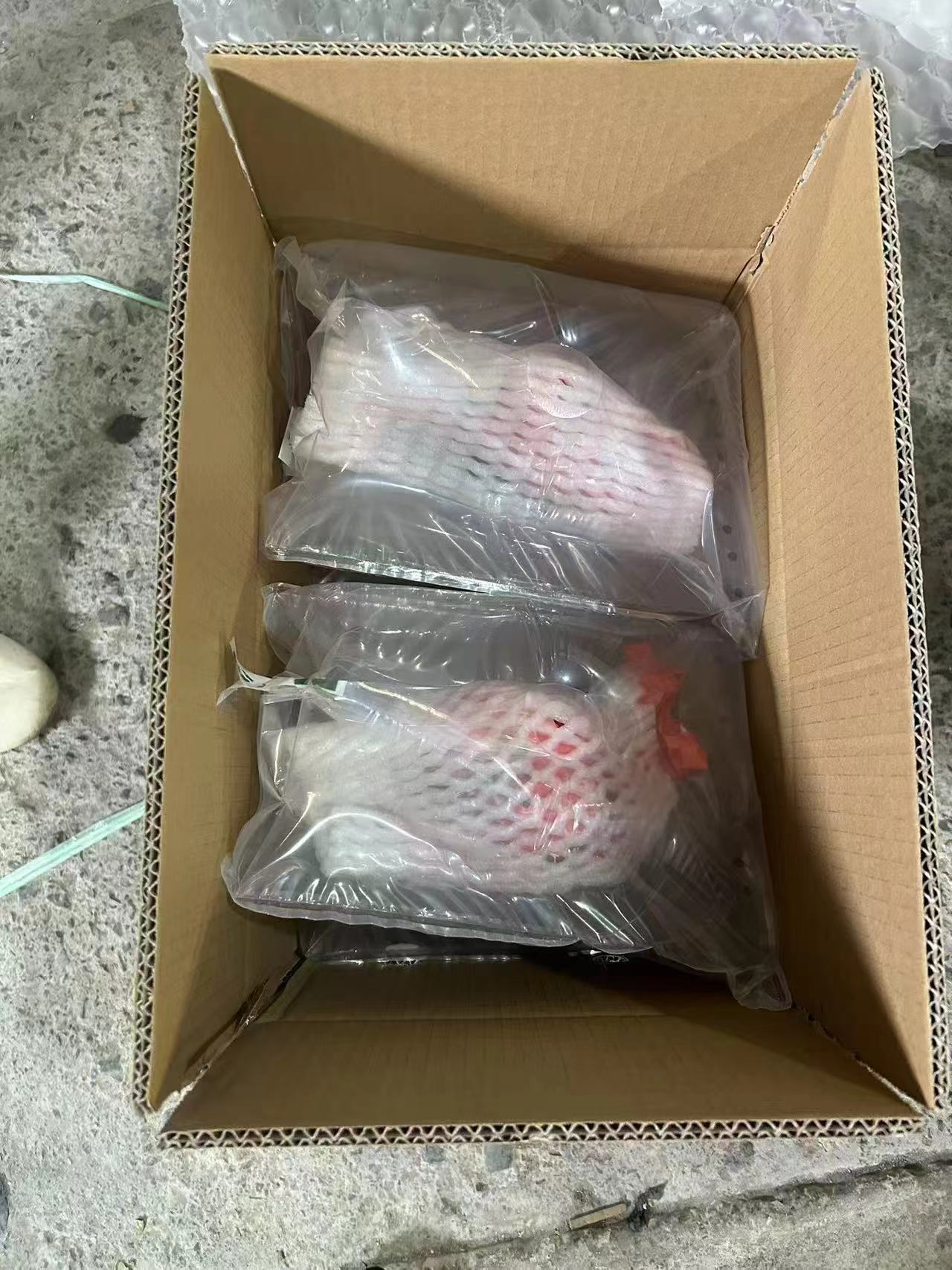 微信图片_20250413153229