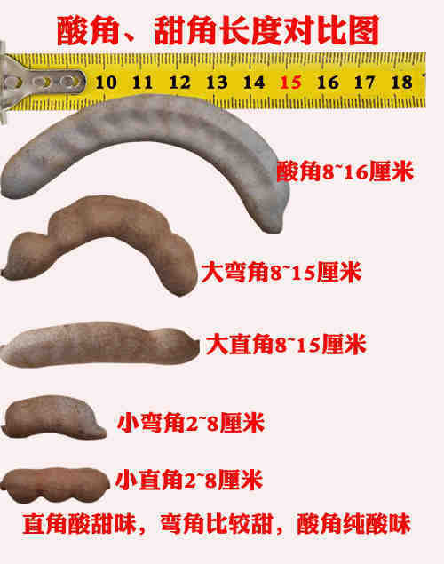 6e37db80-4454-4907-9ea1-aa2c70