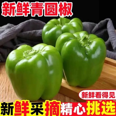 新鲜青椒圆椒甜椒不辣灯笼椒（发货后不退，破损丢件可补发）