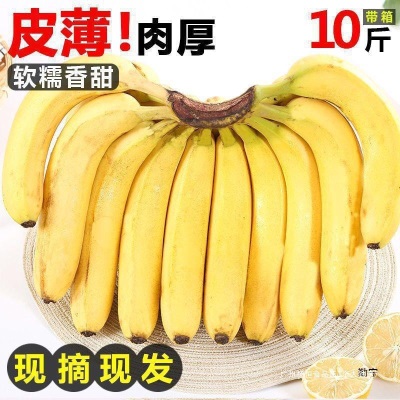 10大包邮芭蕉香蕉W又5香蕉整箱2好吃斤批高山当季新鲜水果香甜斤