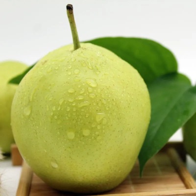 砀山青皇冠梨薄皮当季新鲜水果批发整箱脆甜可口多汁梨子一件代发