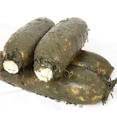 湖北粉藕新鲜莲藕洪湖藕九孔糯米藕煲汤粉藕现挖莲藕批发