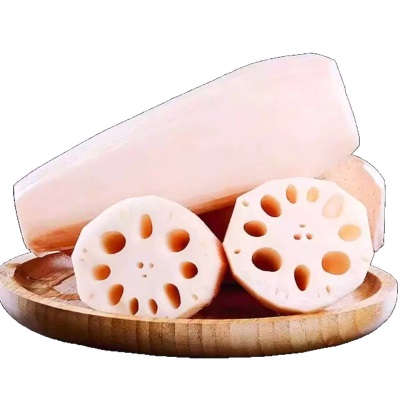 湖北洪湖莲藕粉藕煲汤新鲜现挖农家特产当季蔬菜九孔糯藕炖汤批发