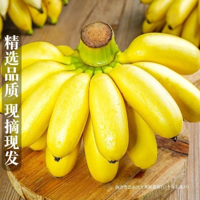 广西小米蕉香蕉10斤新鲜水果整箱当季鲜苹果蕉自然熟粉蕉包邮