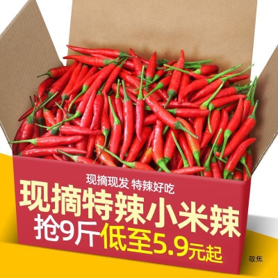 小米椒5斤红辣椒新鲜现摘辣小米辣椒朝天椒农家土蔬菜鲜叶菜类
