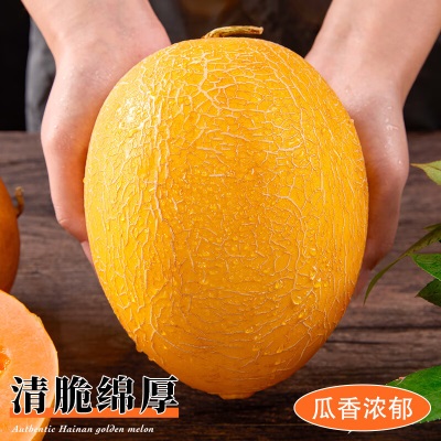 海南红金蜜黄金蜜瓜5斤包邮金红宝黄河蜜瓜黄哈密瓜新鲜当季水果
