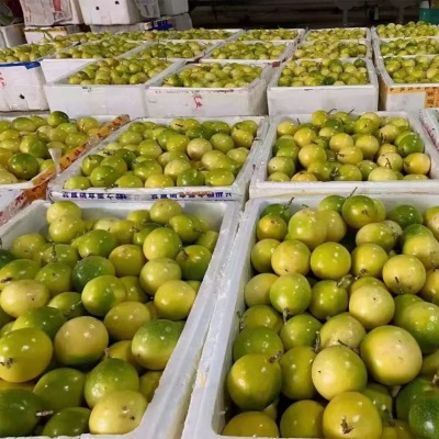 【实力商家】黄金百香果钦蜜9号新鲜当季水果产地整箱直发香甜多