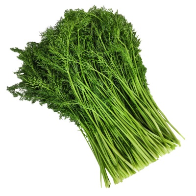 现货 包邮山东茴香菜新鲜包邮鲜嫩小茴香苗不带根荤香菜鲜茴香4斤