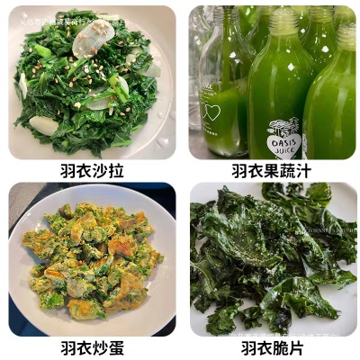 新鲜羽衣甘蓝叶轻食榨汁凉拌西餐沙拉食材新鲜寿光蔬菜其他全年