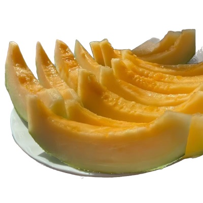 新款哈密瓜爆甜当季新鲜水果网纹瓜玫珑瓜海南哈密瓜厂家批发