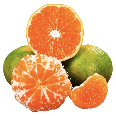 湖北云南青皮蜜桔水果橘子蜜桔整件包邮新鲜水果应季蜜桔一件代发