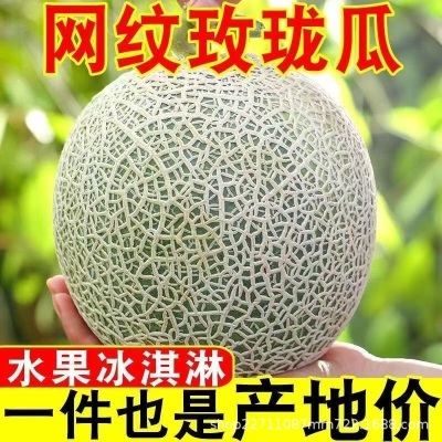 海南玫珑网纹蜜瓜超甜冰淇淋甜瓜香瓜哈密瓜应季水果有礼盒装