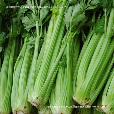 西芹新鲜10斤榨汁山东寿光去叶大芹菜顺丰包邮现砍现发蔬菜脆