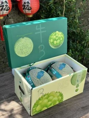 海南玲珑网纹蜜瓜冰淇淋口感哈密瓜静冈蜜瓜香甜水果礼盒包邮直发
