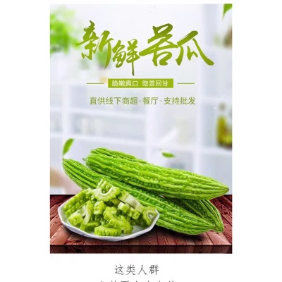 新鲜苦瓜5斤农家自种凉瓜苦瓜脆嫩营养蔬菜山东产地现摘现发当季