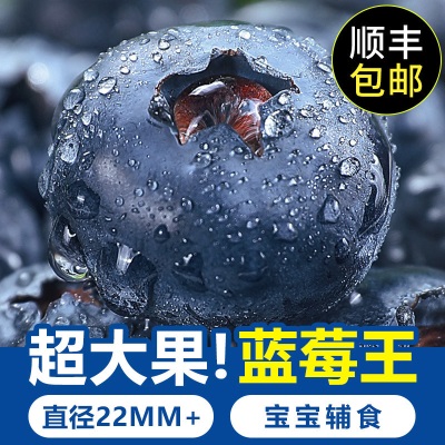 蓝莓鲜果云南花香蓝莓新鲜水果12盒特大果高山怡颗甜莓整箱顺丰