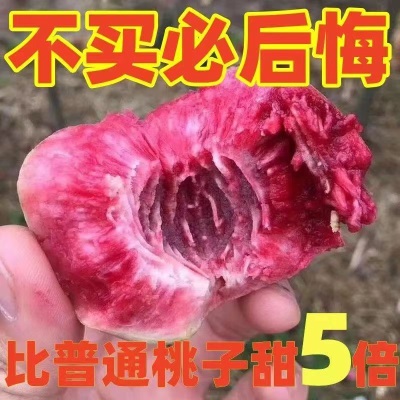 血桃新鲜当季水果5斤现摘桃子红心毛桃时令孕妇脆桃一整箱批发