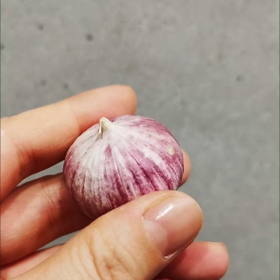 云南独头蒜5斤大蒜头新鲜紫皮独蒜湿大蒜红珍珠干蒜蔬菜整箱